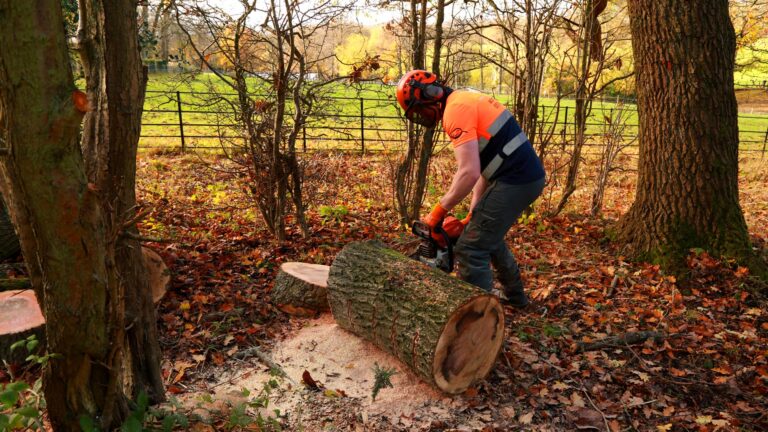 Tree Surgeons